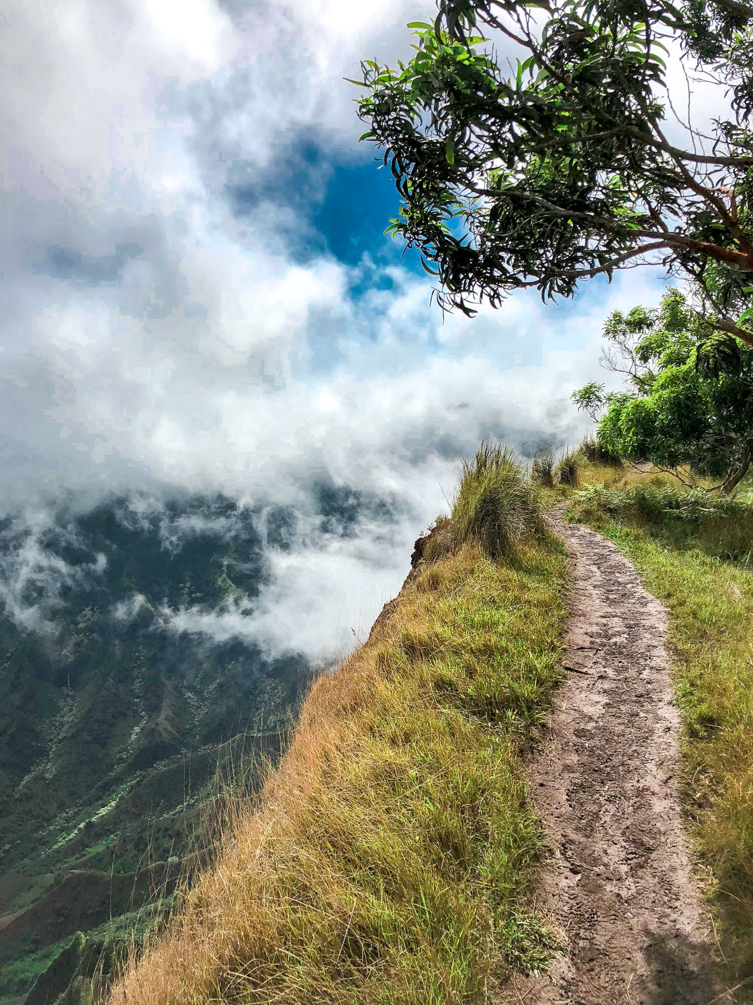 The Clever Girl’s Guide to Hiking Kauai's Kalepa Ridge Trail